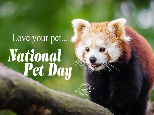 Love your pet, National Pet Day