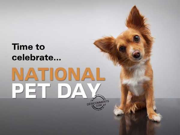 Time to celebrate, National Pet Day