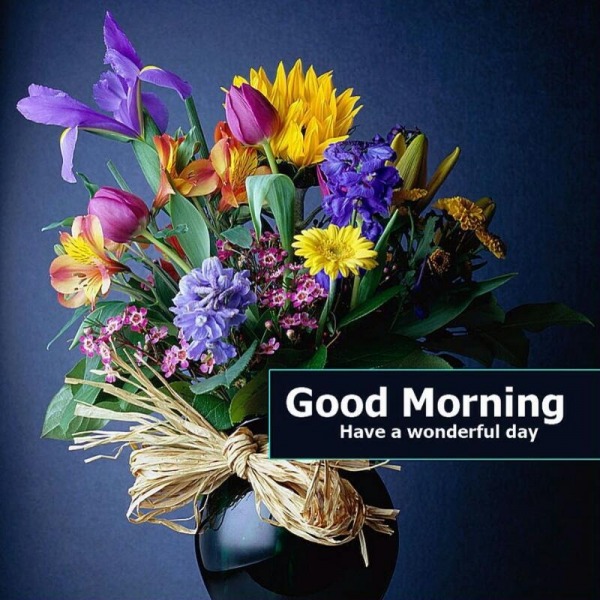 Good Morning – Have A Wonderful Day