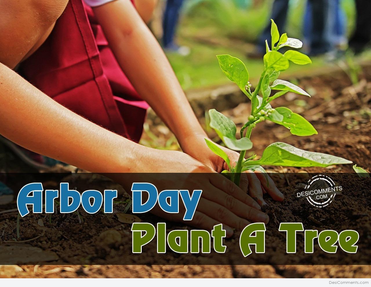 Arbor Day Plant A Tree - DesiComments.com