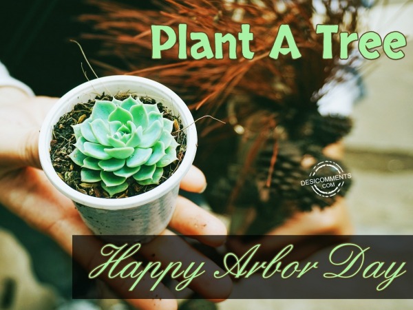 Plant A Tree Happy Arbor Day