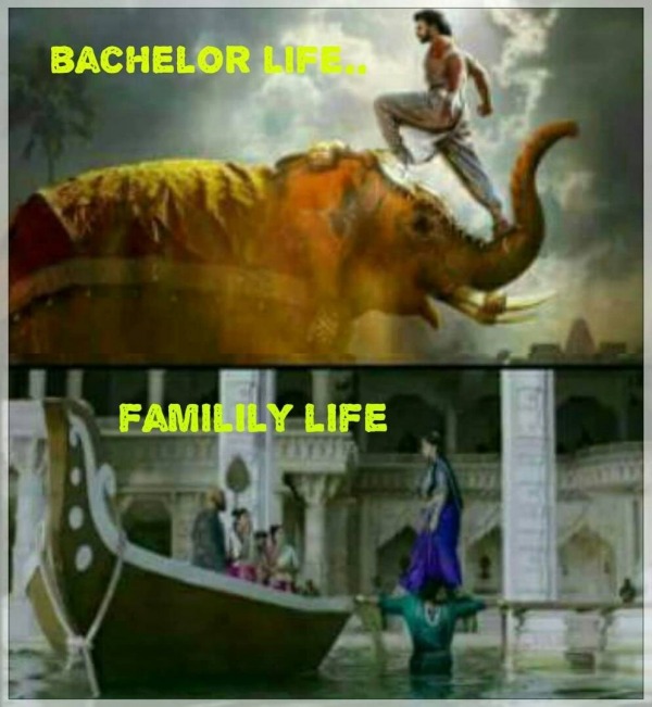 Bachelor Life Vs Family Life