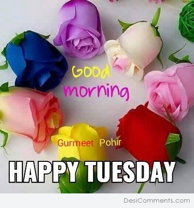 Good morning - happy tuesday