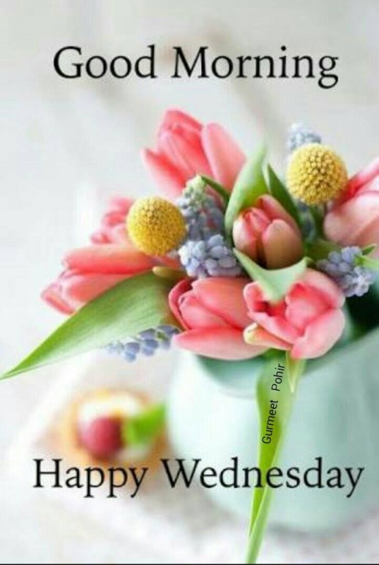 Happy Wednesday – Good Morning