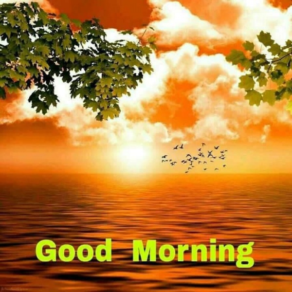 Image Of Good Morning