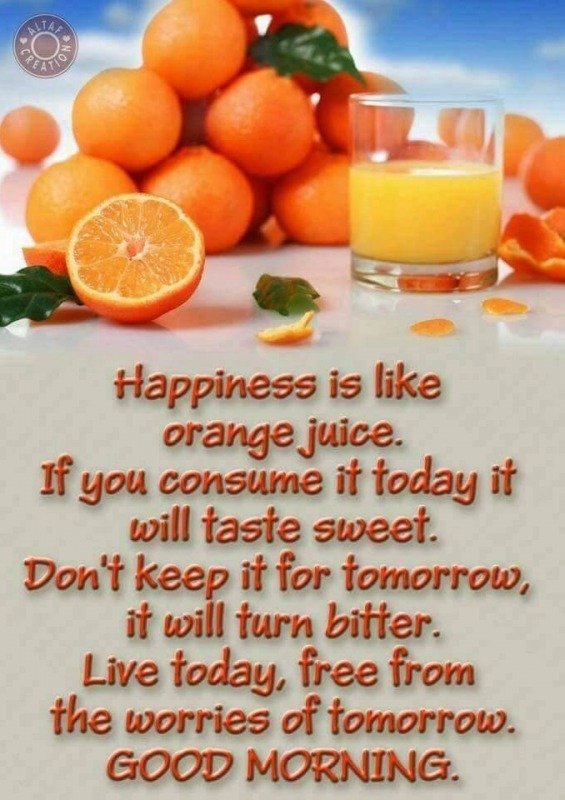 HAPPINESS IS LIKE ORANGE JUICE.