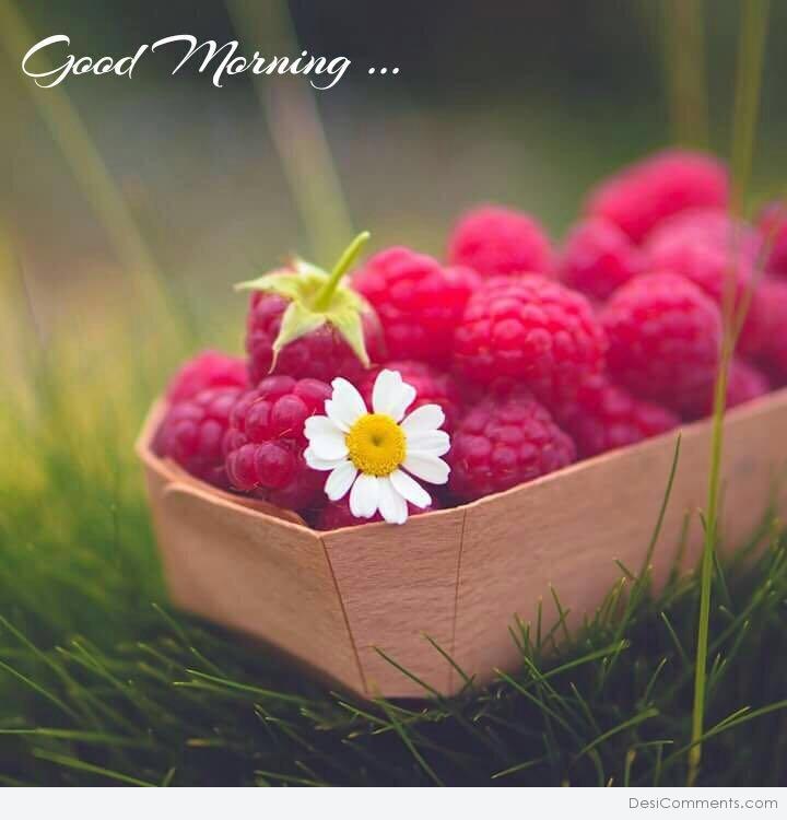 Good Morning - DesiComments.com