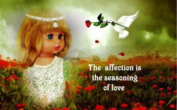 The Affection Is The Seasoning Of Love