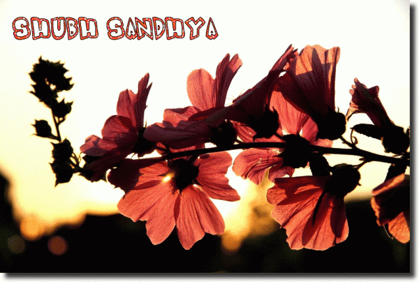 Shubh Sandhya