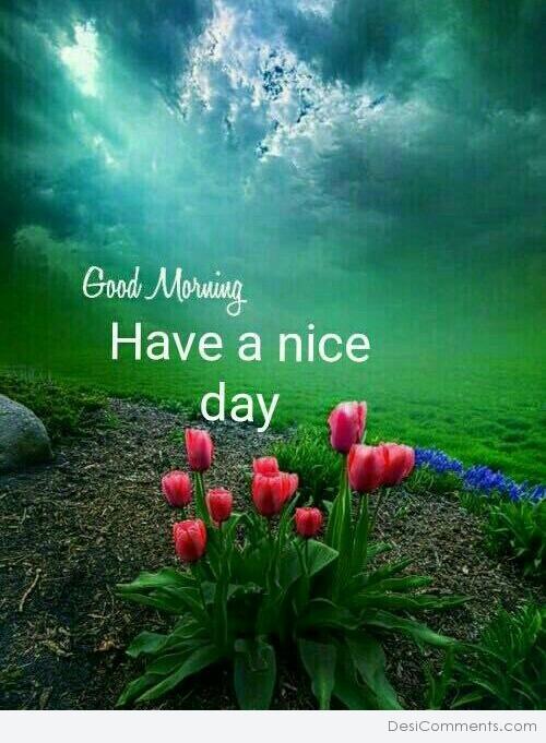 Image Of Good Morning Have A Nice Day