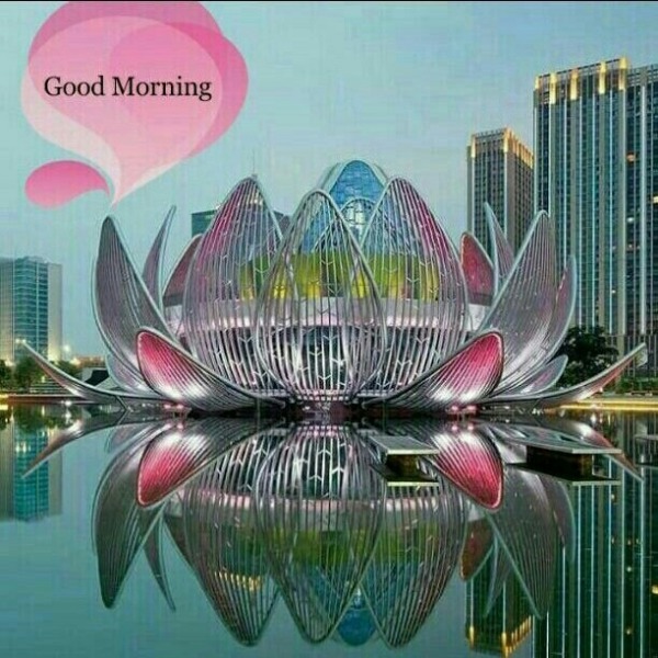 Pic Of Good Morning