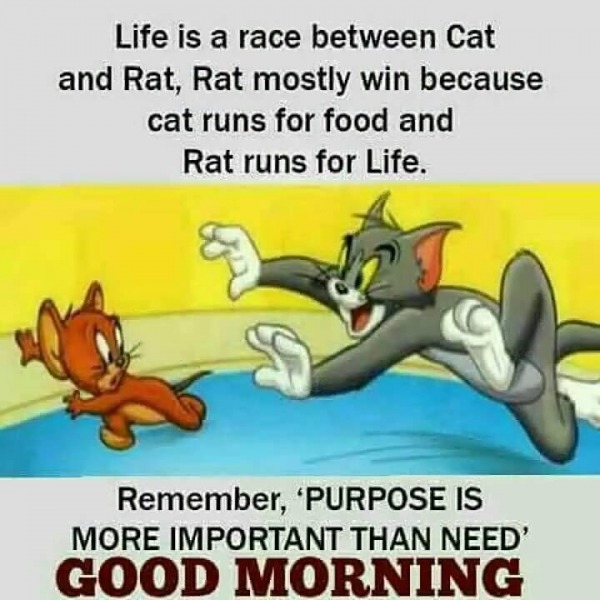 Purpose Is Important Than Need - Good Morning