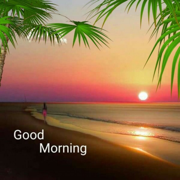 Pic Of Good Morning