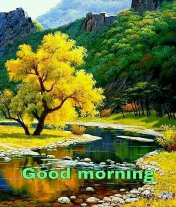 Picture Of Good Morning