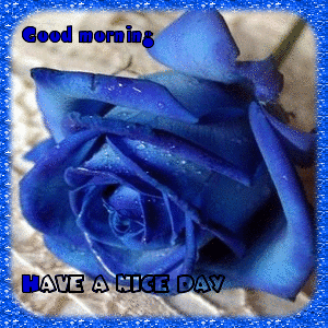 Glitter Image Of Good Morning Have A Nice Day