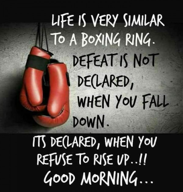 Life Is Very Similar To A Boxing Ring - Good Morning