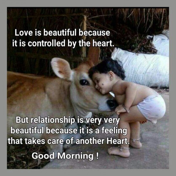 Love Is Beautiful - Good Morning