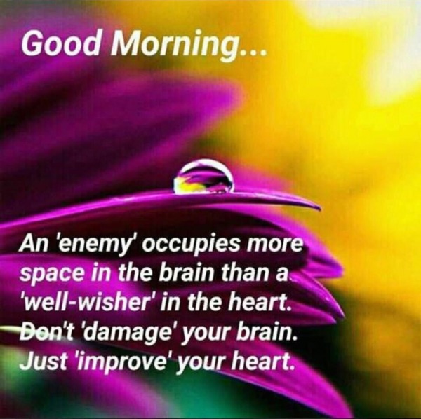 JUST IMPROVE YOUR HEART GOOD MORNING