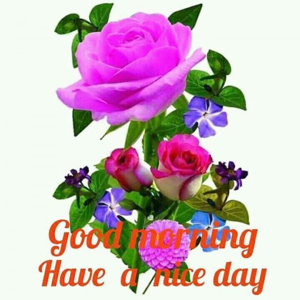 GOOD MORNING HAVE A NICE DAY