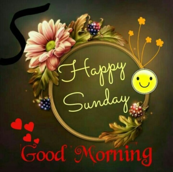 Happy Sunday - Good Morning