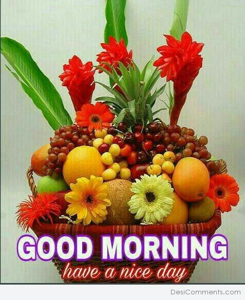 Image Of Good Morning - Have A Nice Day