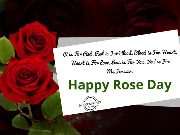 R is for red, Happy Rose Day