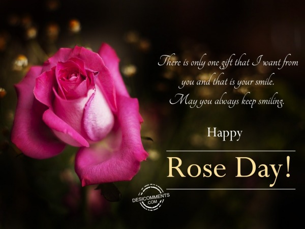 This is only the gift, Happy Rose Day