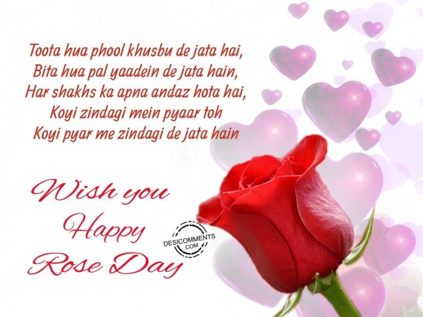 Toota hua phool khushboo de jata hai, Happy Rose Day