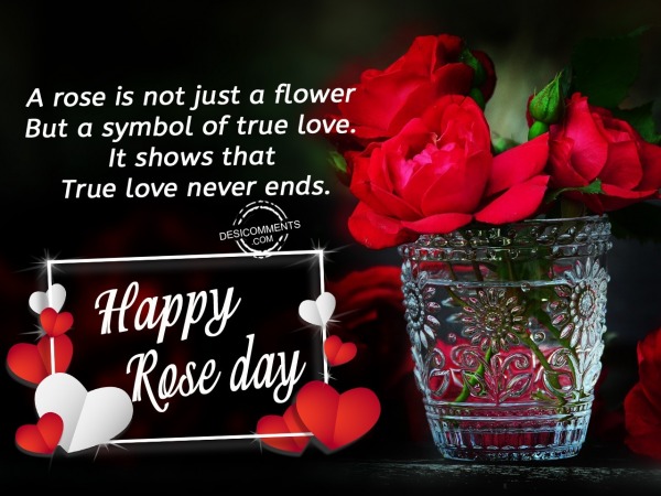 A rose is not just a flower, Happy Rose Day