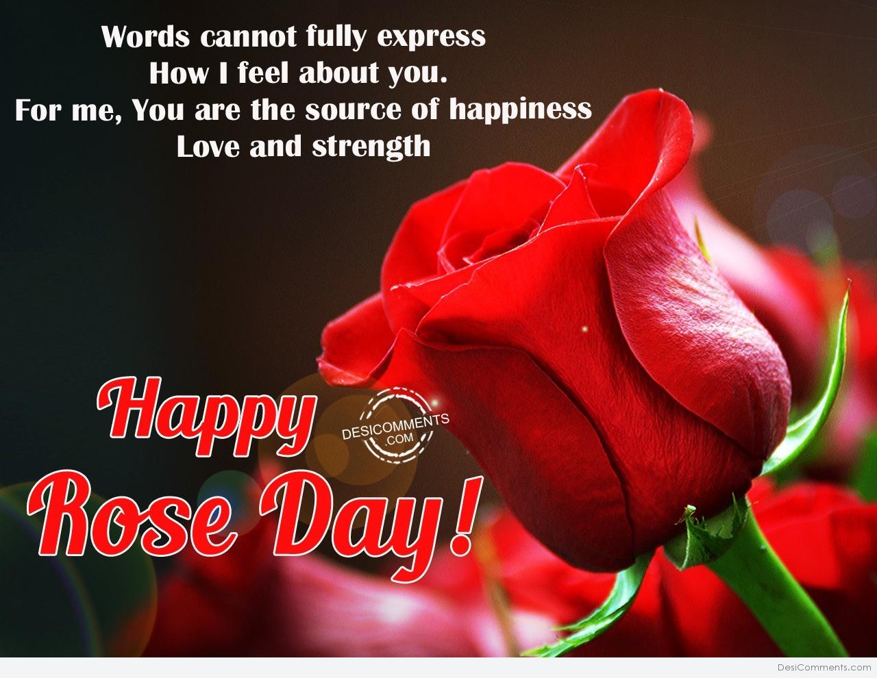 Words cannot fully express, Happy Rose Day - DesiComments.com