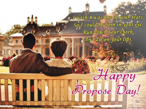 I wish I was, Happy Propose Day