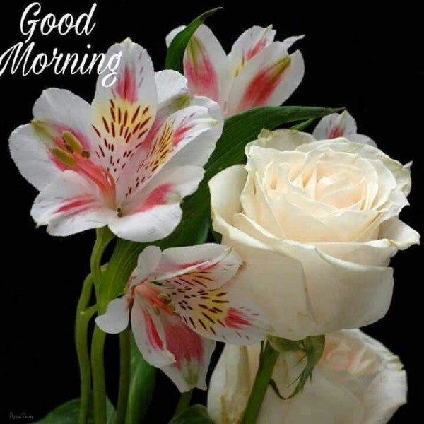 Pic Of Good Morning