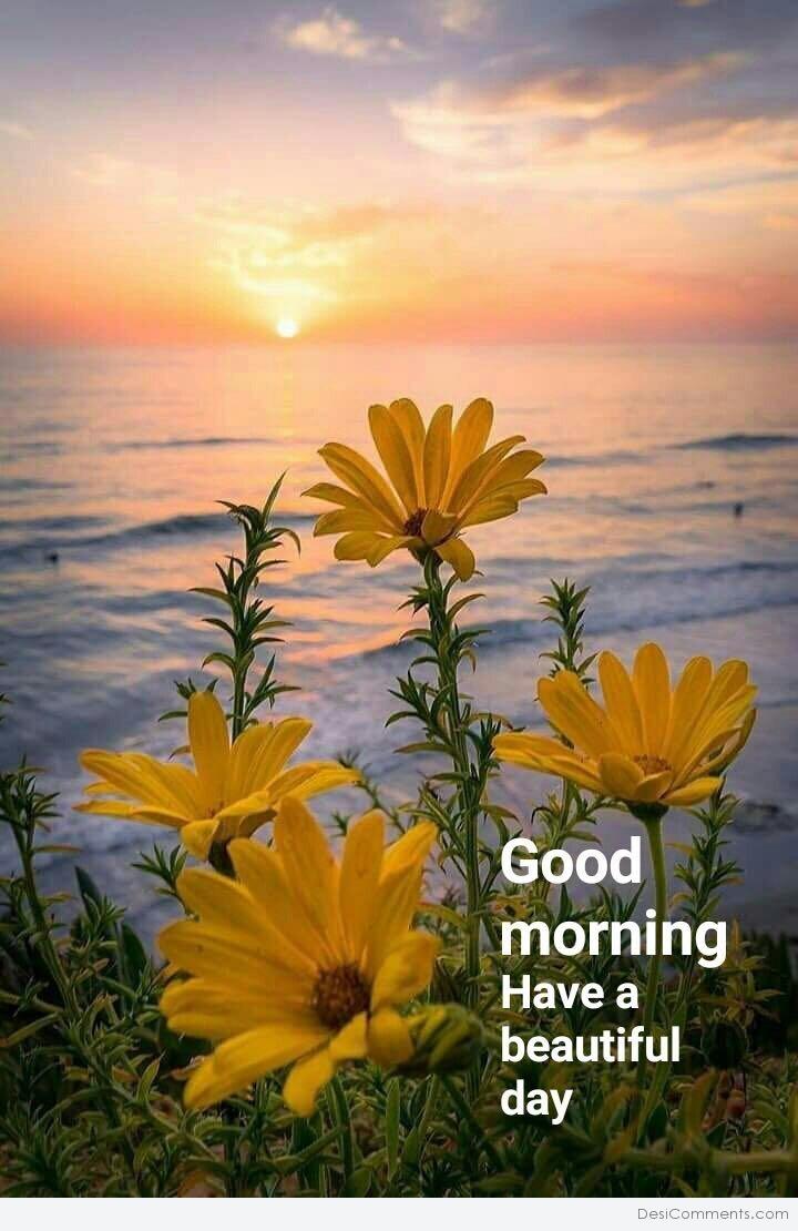 Good Morning Have A Nice Day Wallpapers : It’s Almost Friday ...