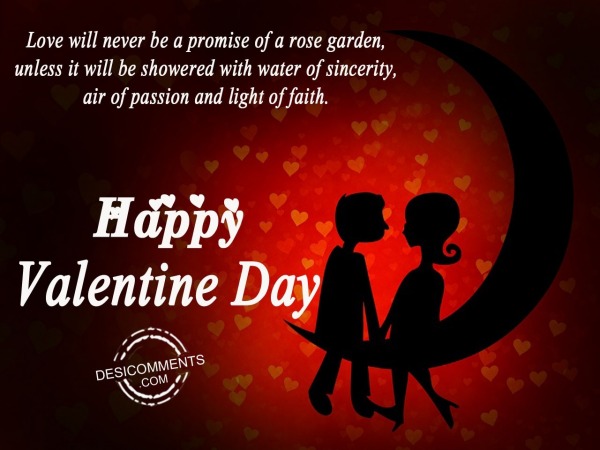 Love will naver be a promise, happy valentine day