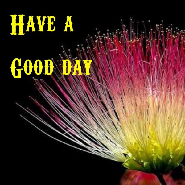 Photo Of Good Morning