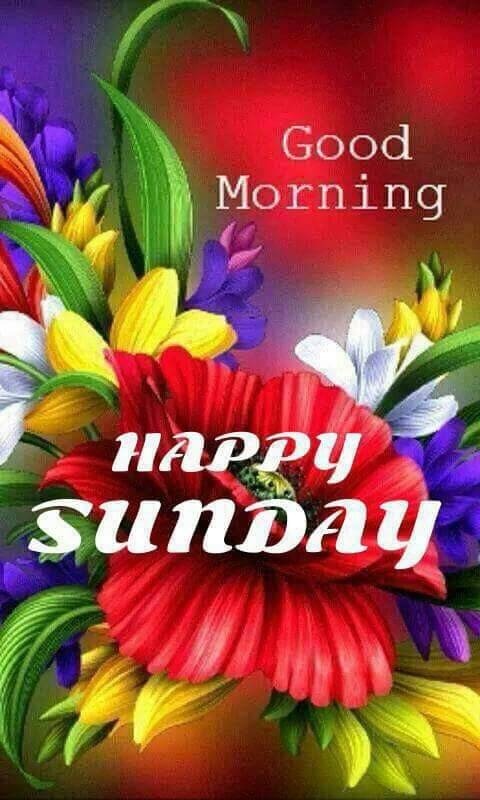 Pic Of Good Morning - Happy Sunday