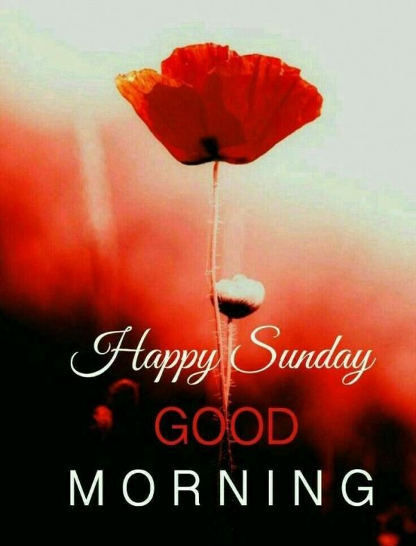 HAPPY SUNDAY – GOOD MORNING