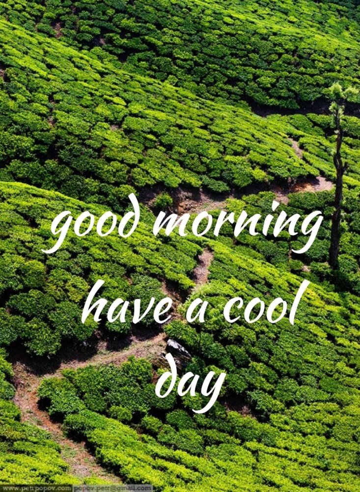 IMAGE OF GOOD MORNING HAVE A COOL DAY - DesiComments.com