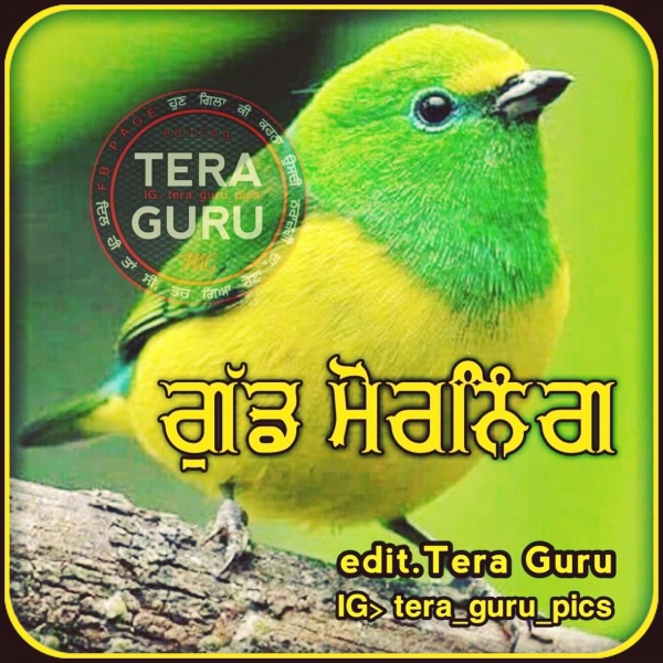 Good Morning In Punjabi Font