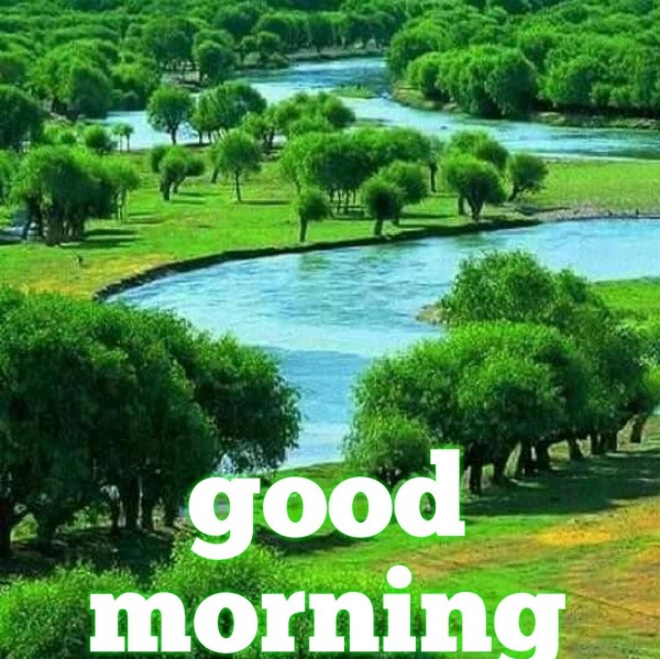 Good morning image