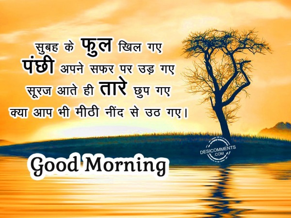 Subha ke phool khil gye – Good Morning