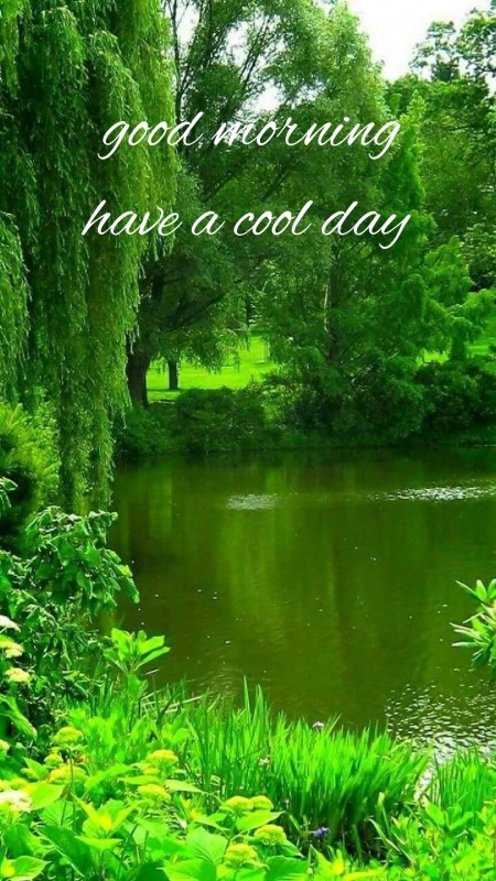 Have A Cool Day