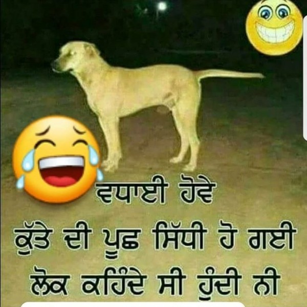 Kute Di Punch Sidhi Ho Gyi