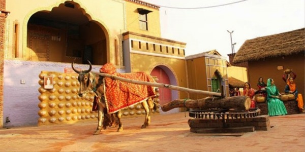 Punjabi Culture Picture