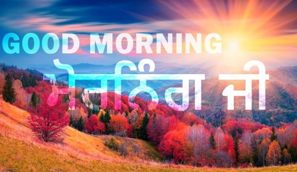 Morning Ji