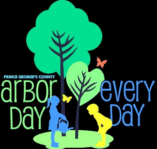 Arbor Day Every Day