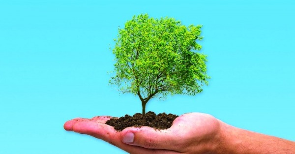 Arbor Day Image