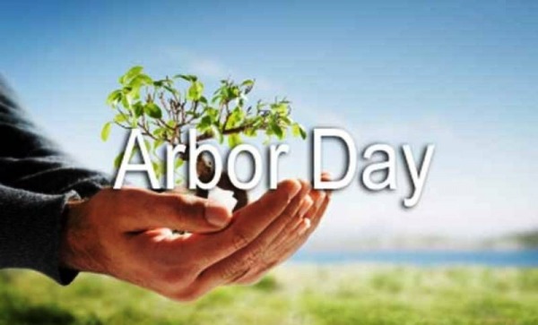Arbor Day Pic