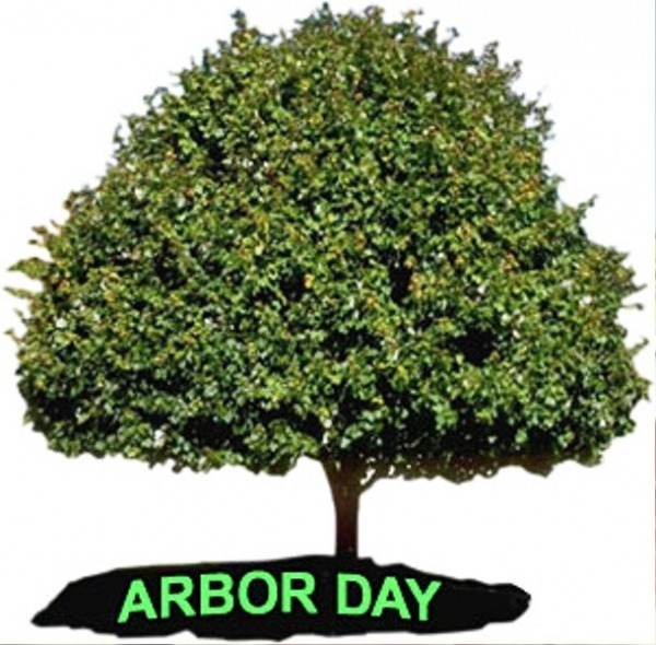 Arbor Day Picture
