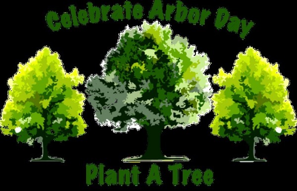 Celebrate Arbor Day Plant A Tree Image